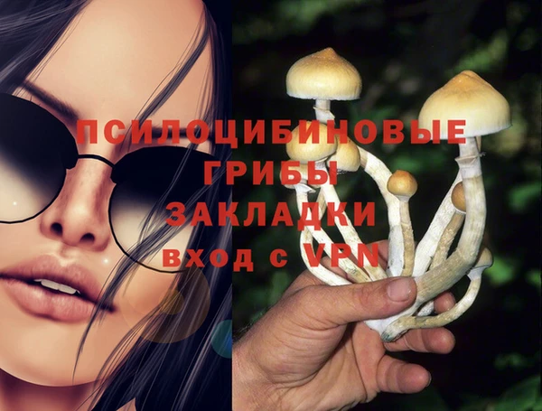 дживик Зерноград