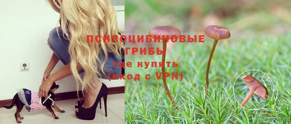 ешки Зеленодольск