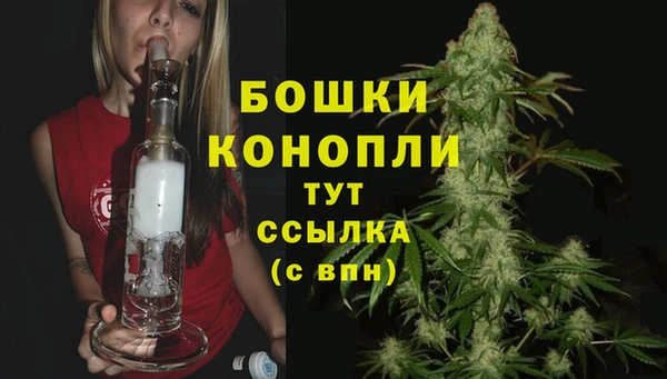дживик Зерноград