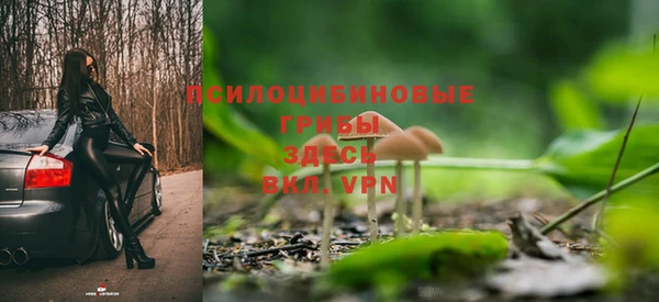 ешки Зеленодольск