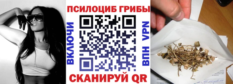 Псилоцибиновые грибы Psilocybe  Купить закладки  Отрадное 